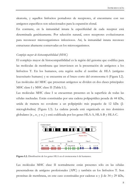 Documento completo - SeDiCI - Universidad Nacional de La Plata