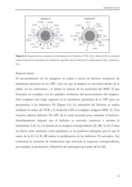 Documento completo - SeDiCI - Universidad Nacional de La Plata