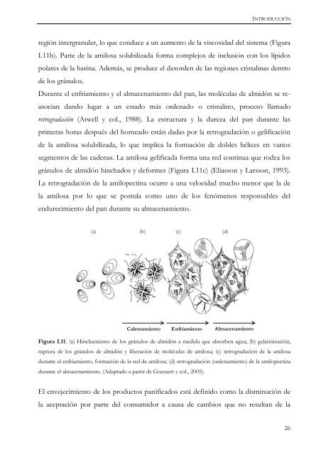 Documento completo - SeDiCI - Universidad Nacional de La Plata