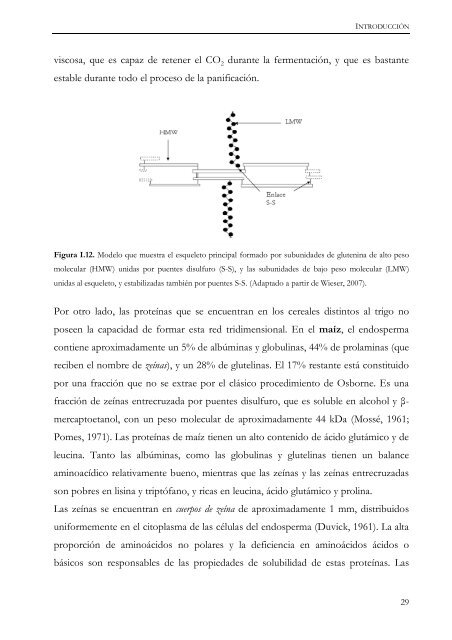 Documento completo - SeDiCI - Universidad Nacional de La Plata