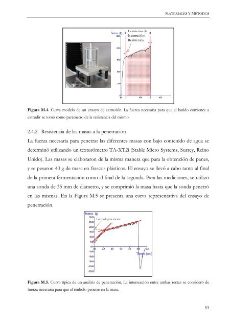 Documento completo - SeDiCI - Universidad Nacional de La Plata