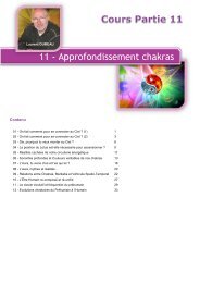 11 - Approfondissement chakras - 345D