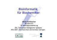 Homologiemodellierung - Universität Tübingen