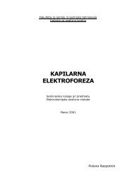 KAPILARNA ELEKTROFOREZA