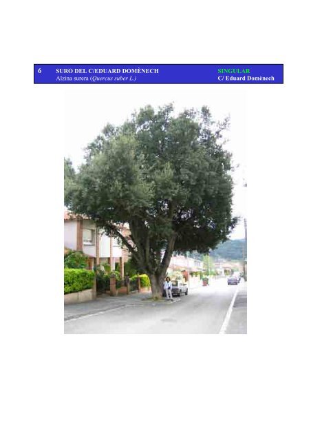 Inventari arbres monumentals - Ajuntament de Sant Celoni