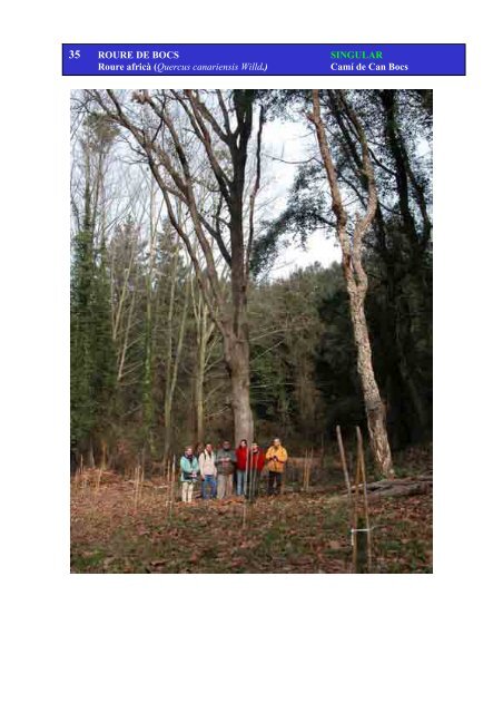 Inventari arbres monumentals - Ajuntament de Sant Celoni