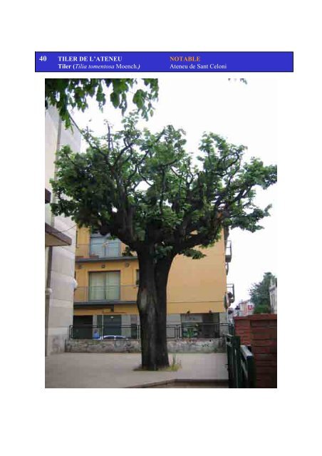 Inventari arbres monumentals - Ajuntament de Sant Celoni