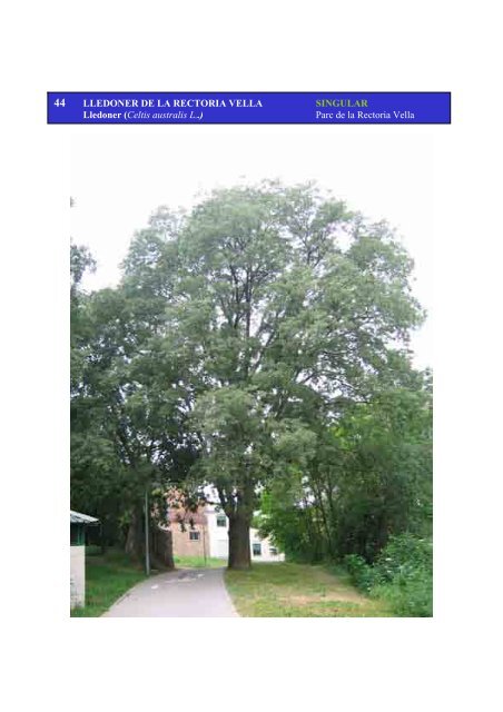Inventari arbres monumentals - Ajuntament de Sant Celoni