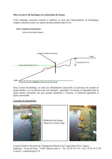 Technique de fascinage pour réhabiliter les berges des