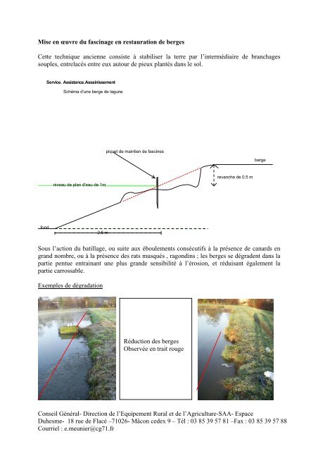 Technique de fascinage pour réhabiliter les berges des