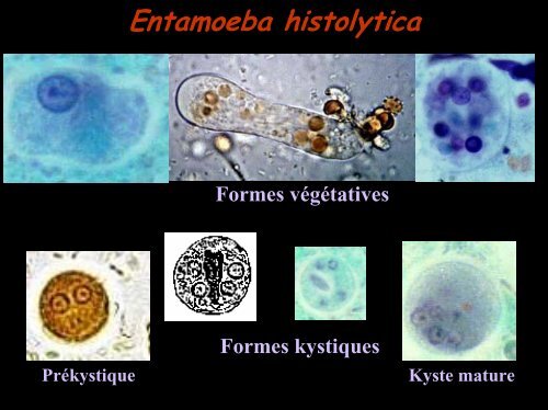 COPROLOGIE PARASITAIRE