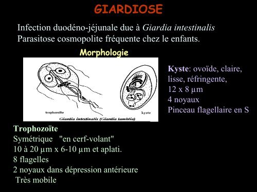 COPROLOGIE PARASITAIRE