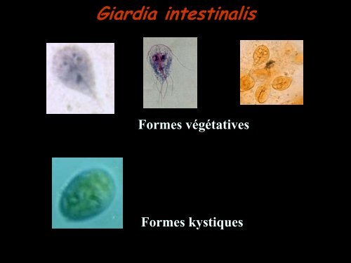 COPROLOGIE PARASITAIRE