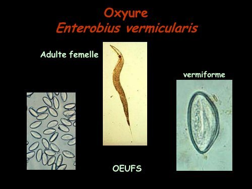 COPROLOGIE PARASITAIRE