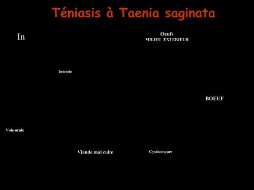 COPROLOGIE PARASITAIRE