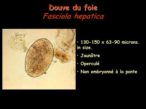 COPROLOGIE PARASITAIRE