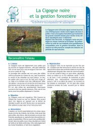 La Cigogne noire et la gestion forestière - CRPF Pays de la Loire