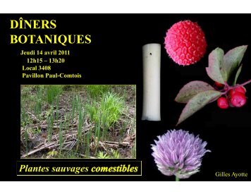 Plantes sauvages comestibles - Compétence 2000 - Université Laval