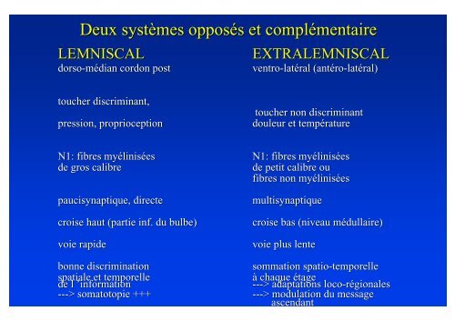 SOMESTHESIE Les voies ascendantes