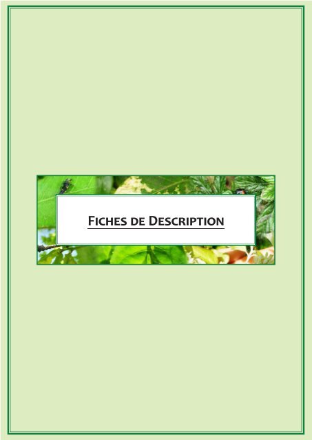 5-fiches_de_suivi (PDF - 8.5 Mo)