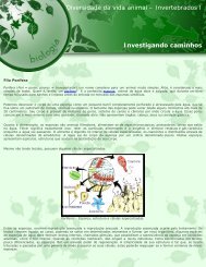 1ª fase - Diversidade da vida animal – Invertebrados I