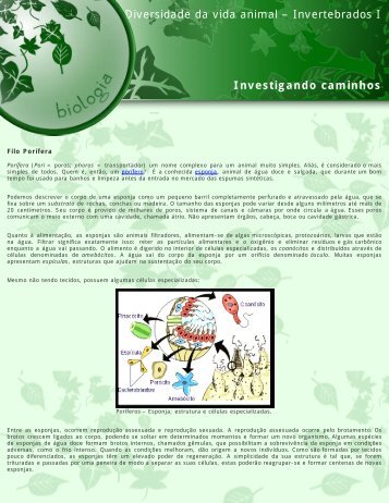 1ª fase - Diversidade da vida animal – Invertebrados I