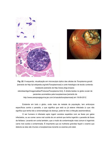 Parasitologia Clinica v1 - Ambiente Virtual de Aprendizagem