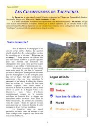 les champignons du taennchel - Société Mycologique des Hautes ...