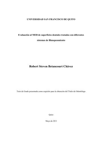 Robert Steven Betancourt Chávez - Repositorio Digital USFQ ...