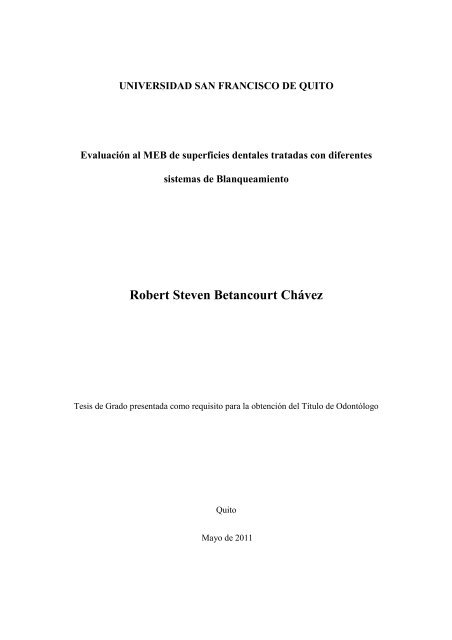 Robert Steven Betancourt Chávez - Repositorio Digital USFQ ...