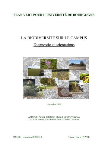M2ERE Rapport biodiversité - Master Pro ERE - Université de ...
