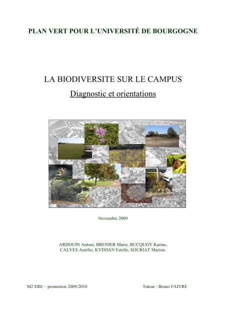 Tuteurs et supports - Pépinières Travers - N°1 de la plante grimpante made  in France, spécialiste Français des clématites