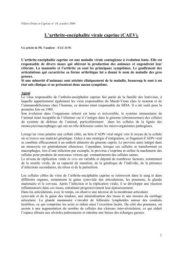 L'arthrite encéphalite virale caprine (CAEV) – n° 10 (2004) - Ficow