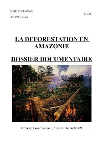 la deforestation en amazonie dossier documentaire - Hoka