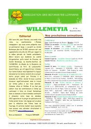 Willemetia N°70 - Floraine