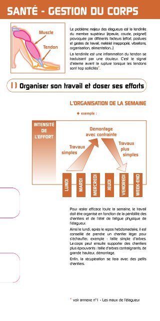 Guide pratique élagage - Santé et Sécurité en agriculture - MSA