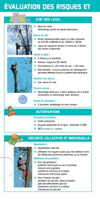 Guide pratique élagage - Santé et Sécurité en agriculture - MSA