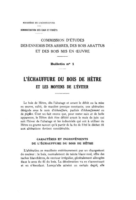 L'ÉCHAUFFURE DU BOIS DE HÊTRE