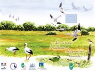 Les oiseaux nicheurs des prairies humides - Parc Naturel Régional ...