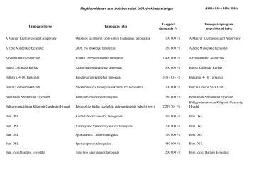ÜVEGZSEB 2008.ÉV TÁMOGATÁSOK