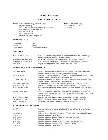 1 CURRICULUM VITAE NILGUN EREKEN TUMER Work: Dept. of ...