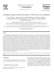 Endophytic fungi as biocontrol agents of Theobroma cacao pathogens