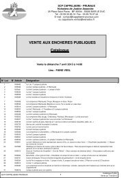 Catalogue VENTE AUX ENCHERES PUBLIQUES - Cappelaere ...