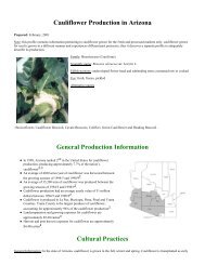 Cauliflower Production in Arizona - Regional IPM Centers