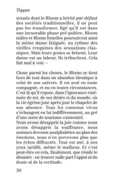 Théorie du Bloom - Comité invisible