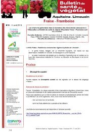 BSV FRAISE FRAMBOISE N°4 du 11/04/2013 - Les chambres d ...
