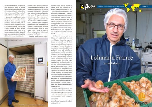 Lohmann France A3 French - Chick Master