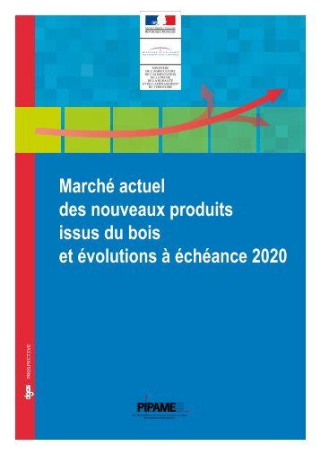 Marché actuel des nouveaux produits issus du bois et évolutions à ...