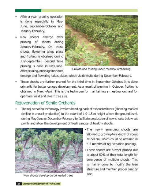 canopy management in fruit crops - Department of Agriculture & Co ...