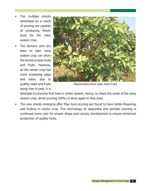 canopy management in fruit crops - Department of Agriculture & Co ...